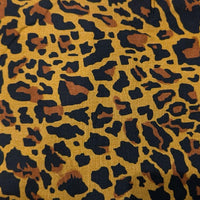 Leopard dark